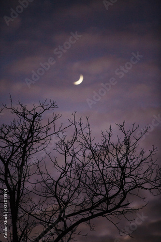 crescent moon, magical winter sky