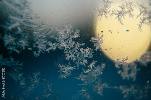 morning frost at sunrise