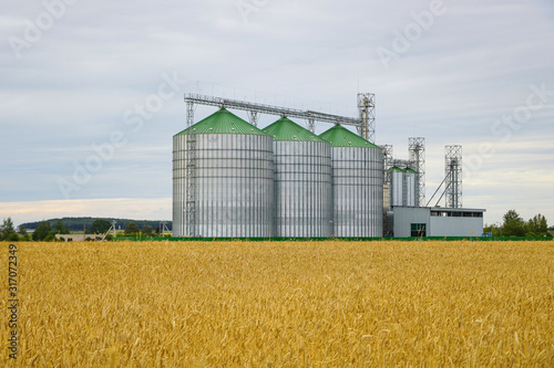 Group of grain dryers complex on the background of a yellow field of wheat or barley.