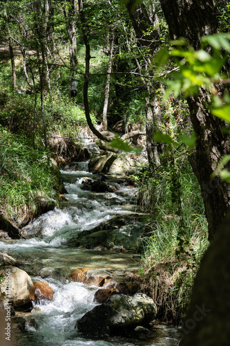 waterfall in forest