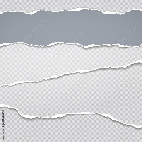 Torn  ripped pieces of horizontal blue and white paper with soft shadow are on grey squared background for text. Vector illustration