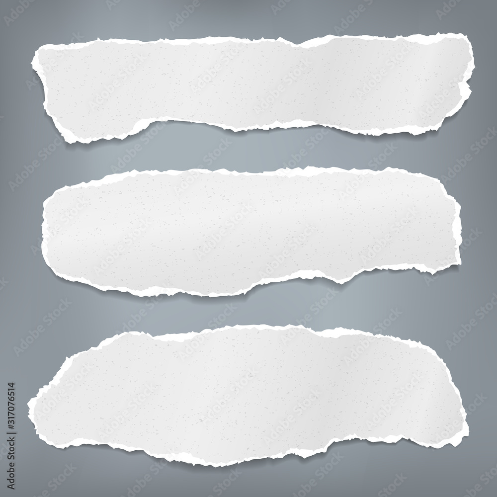 Set of torn white grainy note, notebook paper strips, pieces stuck on dark blue background. Vector illustration Set of torn white grainy note, notebook paper strips, pieces stuck on dark blue background. Vector illustration