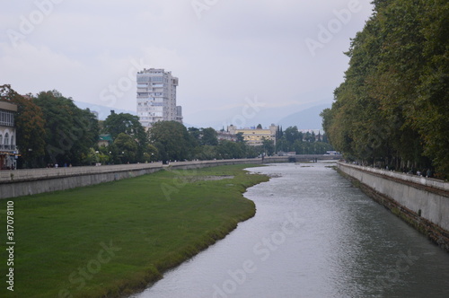 Bridge in the park