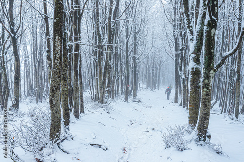 Snow in Campigna, Neve in Campigna, winter, inverno, appennino, Italia, Italy, CAI © Alessandro Persiani