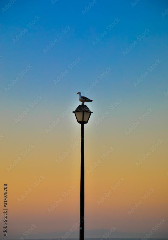 Eine Möwe sitzt bei Sonnenuntergang auf einer Laterne Eine Möwe sitzt bei Sonnenuntergang auf einer Laterne