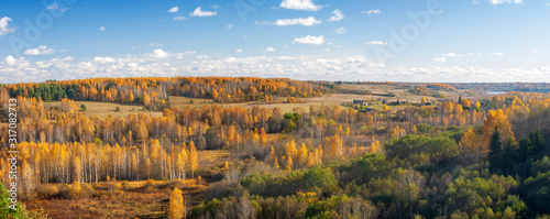 Panorama of beautiful autumn forest