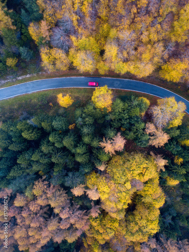 Autumn colors in a forest. In the picture we can see a car in the middle of a colorful forest.  © Imanol