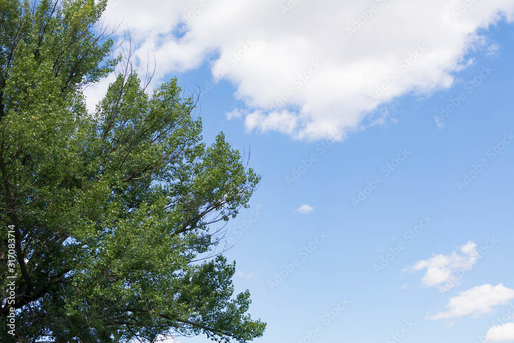 Blue sky with clouds and leaves and branches of a tree on the left margin Blue sky with clouds and leaves and branches of a tree on the left margin