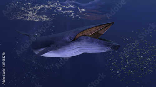 Blue whale underwater close to the sea surface chasing school of fish open mouth 3d rendering