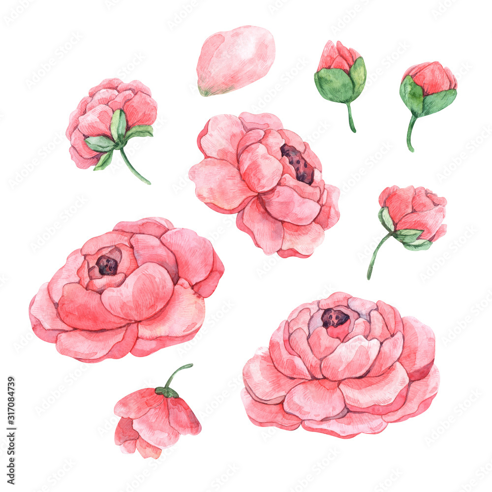 Seamless pattern with watercolor leaves, peonies and buds is perfect for printing, textile, fabrics, wrapping and scrapbook paper, wallpaper and any design. Seamless pattern with watercolor leaves, peonies and buds is perfect for printing, textile, fabrics, wrapping and scrapbook paper, wallpaper and any design.