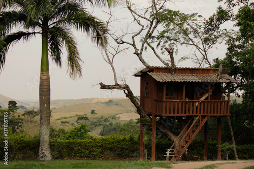 house on the tree