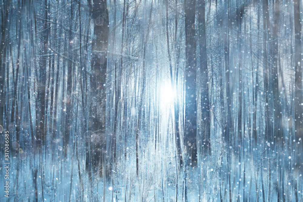forest snow blurred background / winter landscape snow-covered forest, trees and branches in winter weather forest snow blurred background / winter landscape snow-covered forest, trees and branches in winter weather