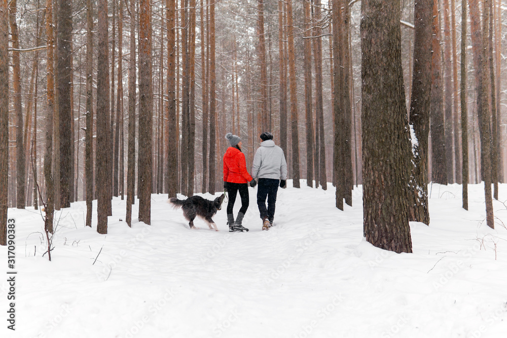 young couple walking a dog in the winter forest, the dog wants to play