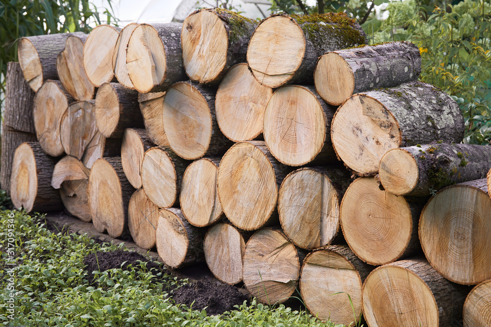 Wooden natural sawn logs stacked outdoors. Pile of wood logs storage for industry Wooden natural sawn logs stacked outdoors. Pile of wood logs storage for industry