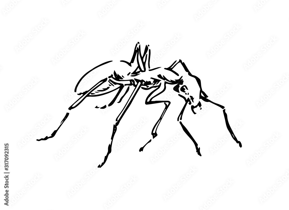 Hand drawn ant insect, doodle pismire painted by ink, emmet sketch vector illustration, black isolated character on white background