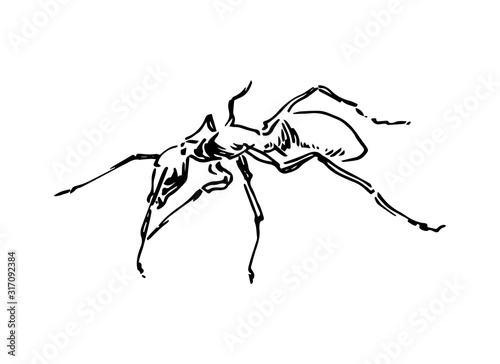 Hand drawn ant insect, graphic pismire painted by ink, emmet sketch vector illustration, black isolated character on white background
