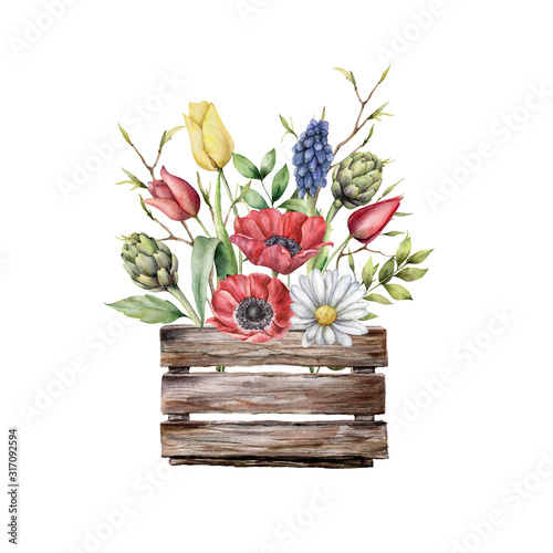 Watercolor wooden box with spring flowers. Hand painted anemones, chamomile, tulips, hyacinths, artichokes isolated on white background. Botanical illustration for design, print, fabric or background.