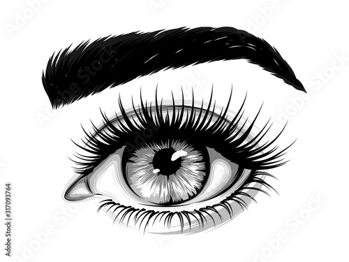  Hand-drawn realistic image of a woman's eye with eyebrows and long eyelashes. Fashion illustration. Vector EPS 10.