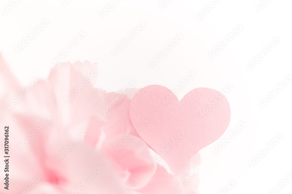 Pink clove isolated on white background with heart symbol of love