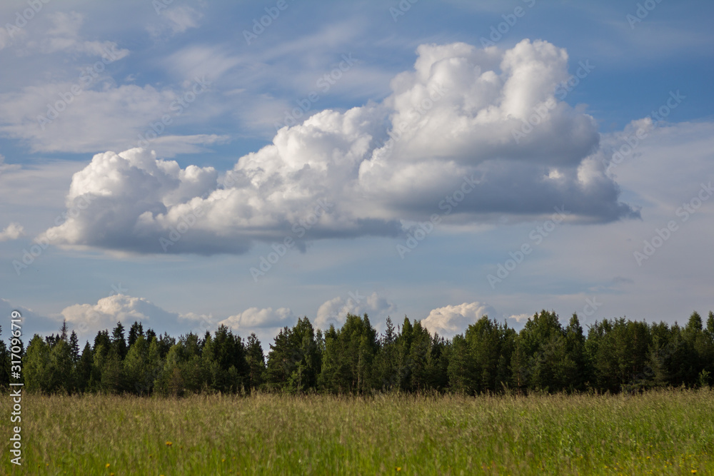 cloud over the meadow and trees cloud over the meadow and trees