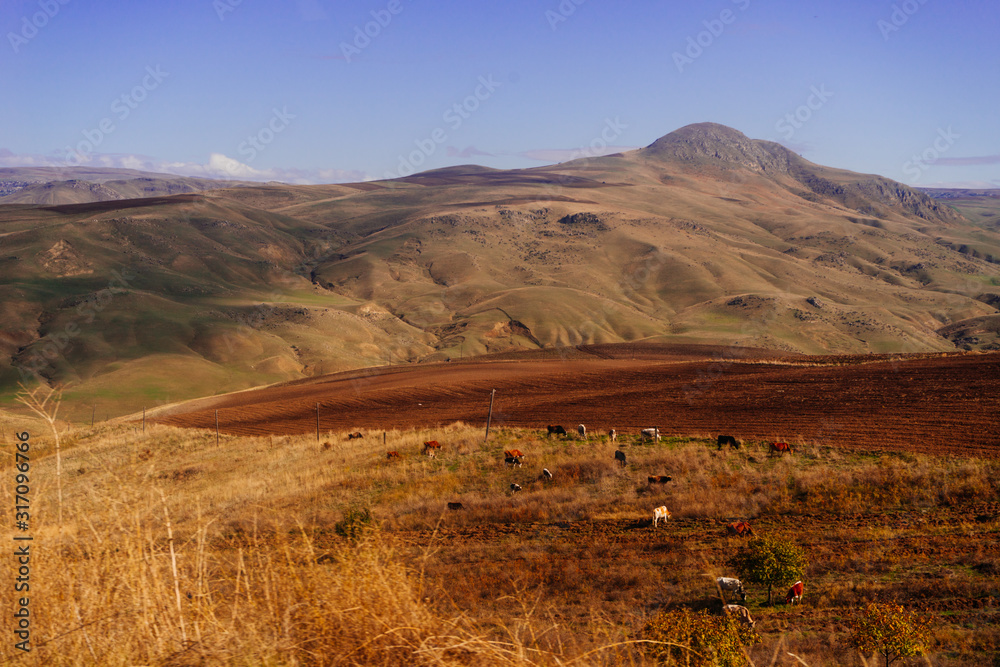 scenery. magnificent mountains covered with sand and yellow grass