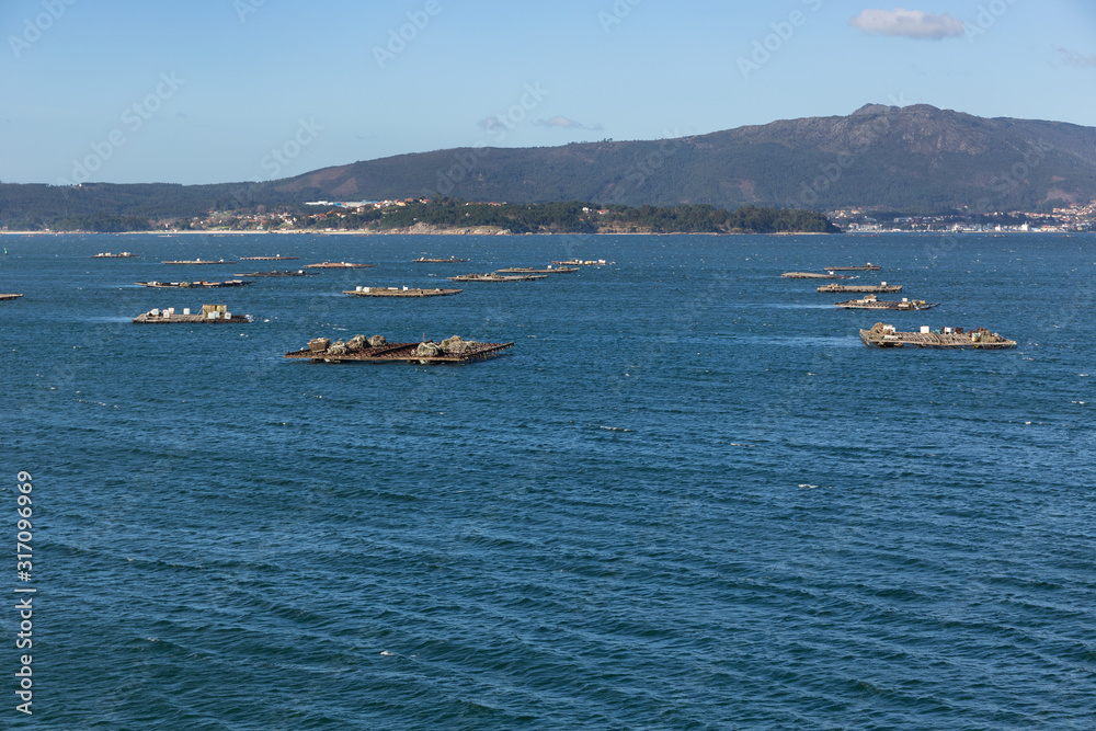 Landscape of the Ria de Arousa with numerous platforms for the cultivation of mussels floating in the sea. Illa de Arousa, galicia, Spain