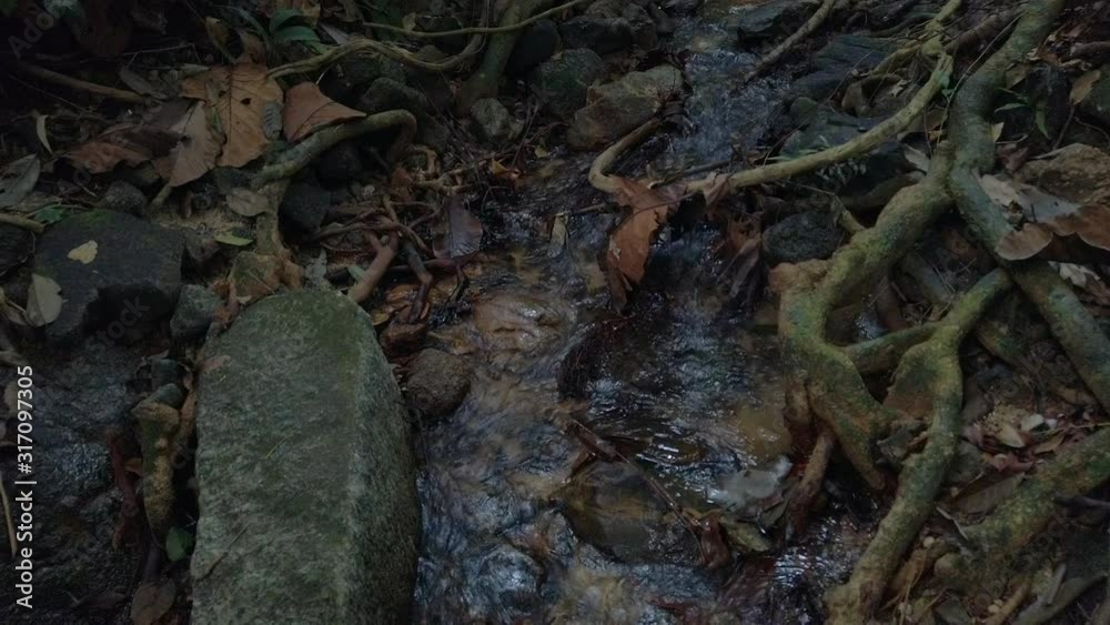 Beautiful scenery of cascaded river flowing through tropical rain forest Beautiful scenery of cascaded river flowing through tropical rain forest