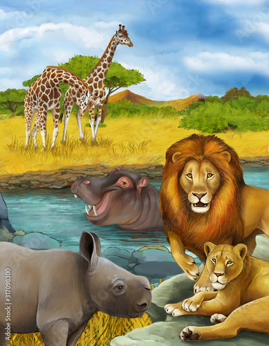 Fototapeta Naklejka Na Ścianę i Meble -  cartoon scene with rhinoceros rhino and hippopotamus hippo near river and lion