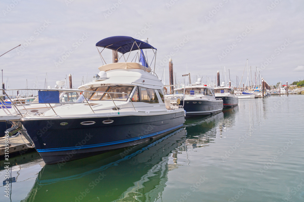 Fototapeta premium Bellingham Bay. USA. Boats for sale moored in a marina.