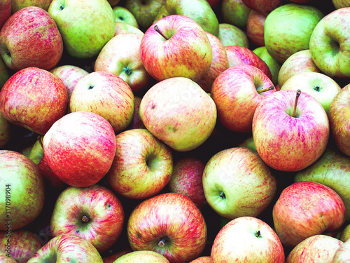 A bunch of delicious Stayman Winesap apples photo