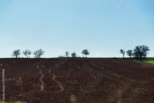 Tilled farm view with an empty sky and some trees.