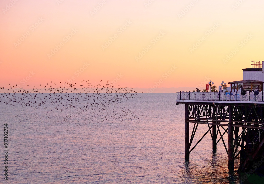 The end of brighton pier jutting out over sea, starlings murmuring over the sea