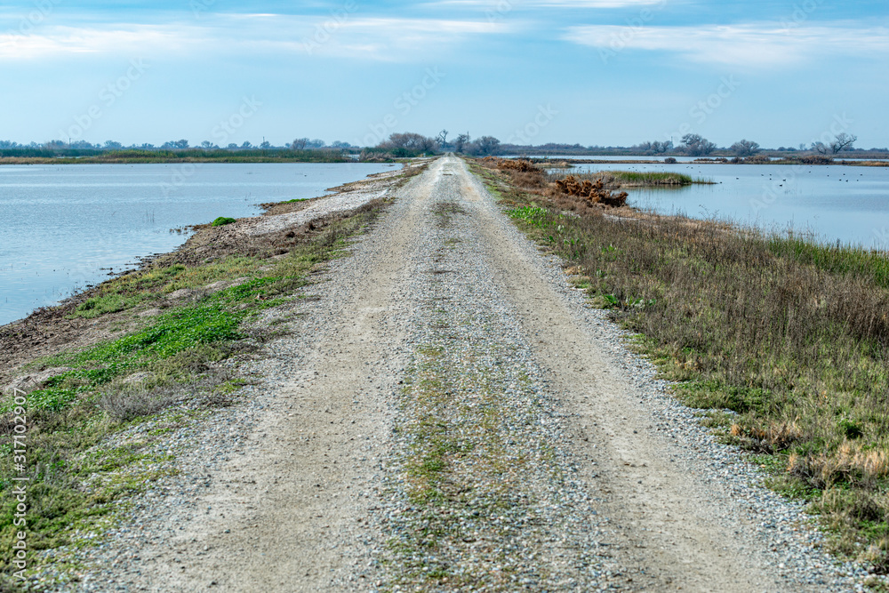 USA, California, Kern County, Kern National Wildlife Refuge. Water on both of a dirt road along the driving tour route. USA, California, Kern County, Kern National Wildlife Refuge. Water on both of a dirt road along the driving tour route.