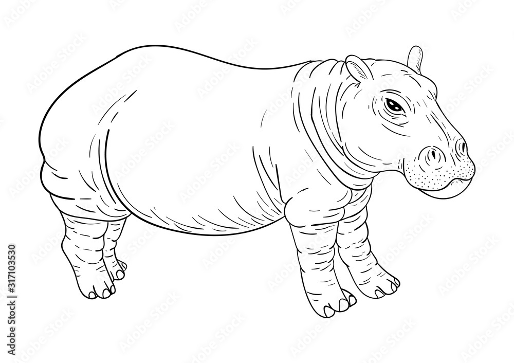 Hippopotamus Coloring Book Raster for Adults Stock Illustration -  Illustration of floral, book: 101685734