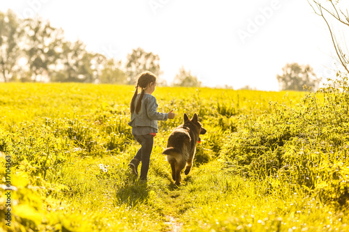 beautiful little girl with a german shepherd playing on the lawn at the day time
