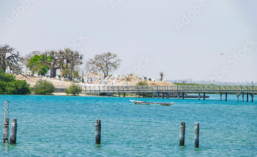 View from the hill on the island Joal-Fadiout, Senegal. Baobab trees on the Christian cemetery in Africa. There is town and long wooden bridge. photo