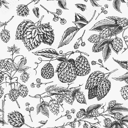 Hops and Barley Seamless pattern. Malt Beer. Engraved vintage Hand drawn collection. Sketch for web or pub menu, poster or banner. Design elements isolated on white background.