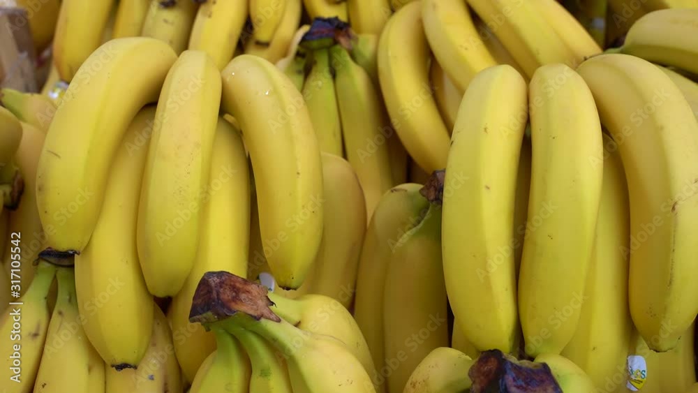 bunch of bananas on market bunch of bananas on market