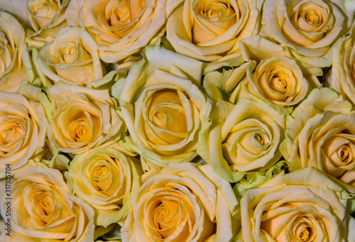 Bouquet of yellow roses. Flower background