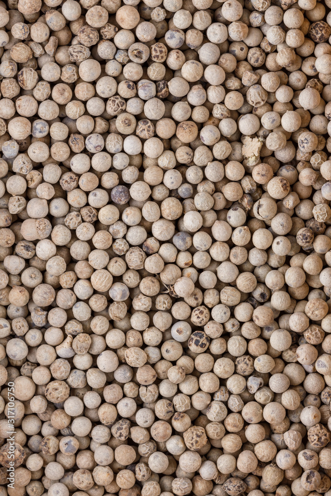 white peppercorns seed on white acrylic background white peppercorns seed on white acrylic background