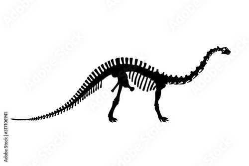 Vector Dinosaur Brontosaurus Skeleton Silhouette Illustration Isolated