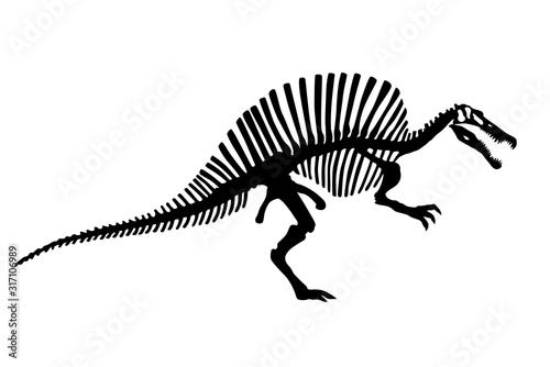 Dinosaur Spinosaurus Skeleton Silhouette Illustration Isolated