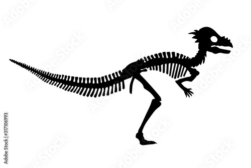 Dinosaur Pachycephalosaurus Skeleton Silhouette Illustration Isolated