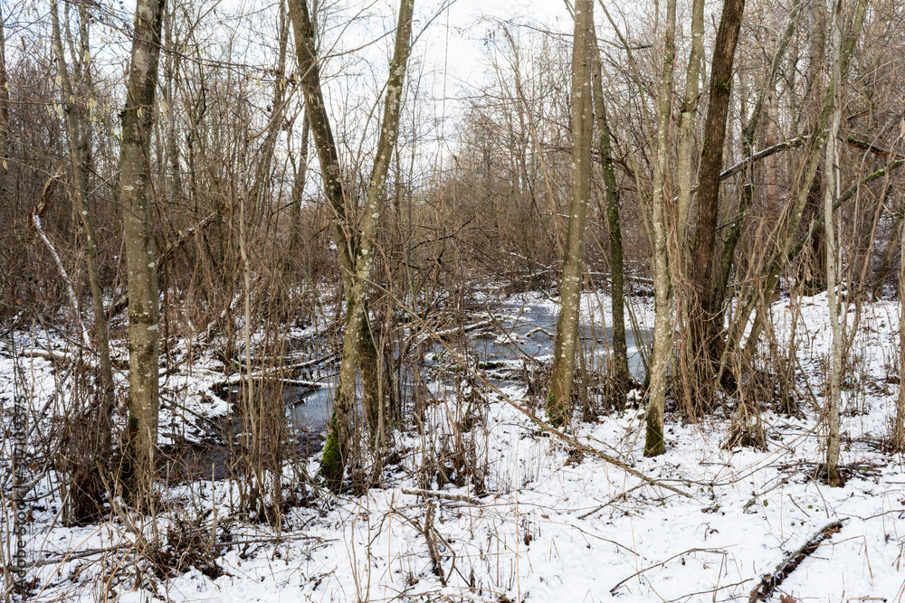Almost frozen river in forest after fresh snow with broked tree fallen across a riverbed. Almost frozen river in forest after fresh snow with broked tree fallen across a riverbed.