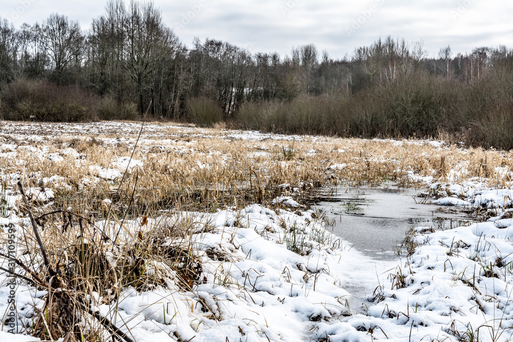 Field with dry grass covered with first snow. Rural landscape. Early misty morning in the field Field with dry grass covered with first snow. Rural landscape. Early misty morning in the field