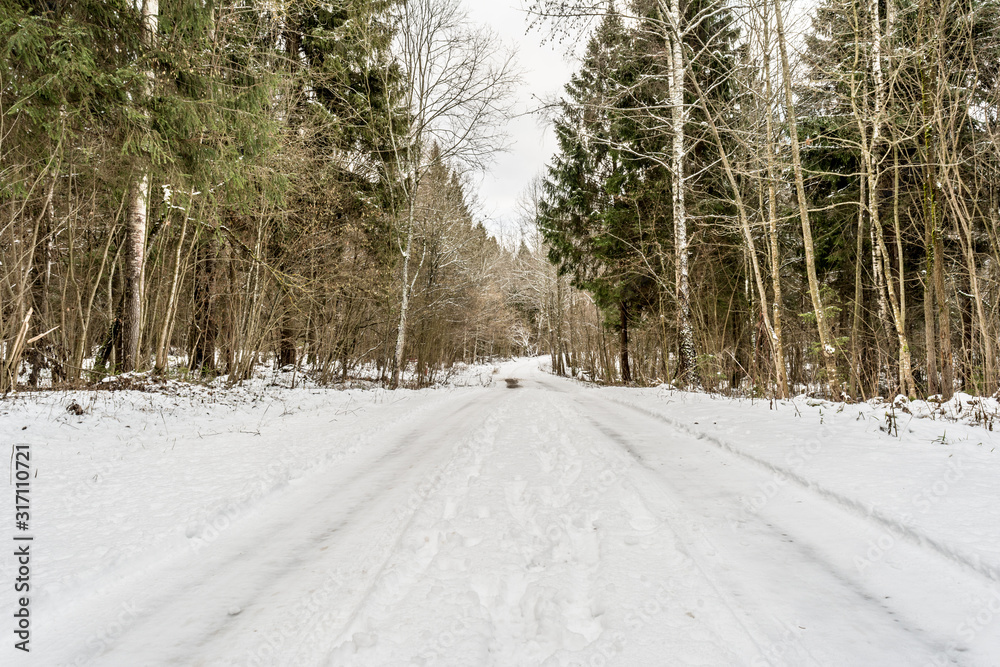 Winter road in the snowy forest. Winter road in the snowy forest.