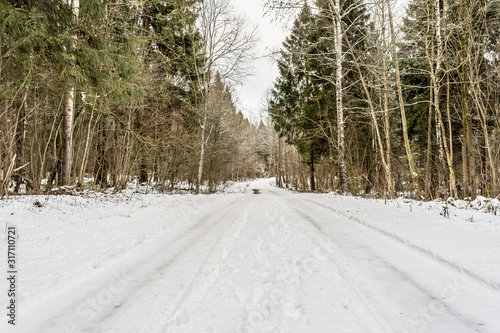 Winter road in the snowy forest.