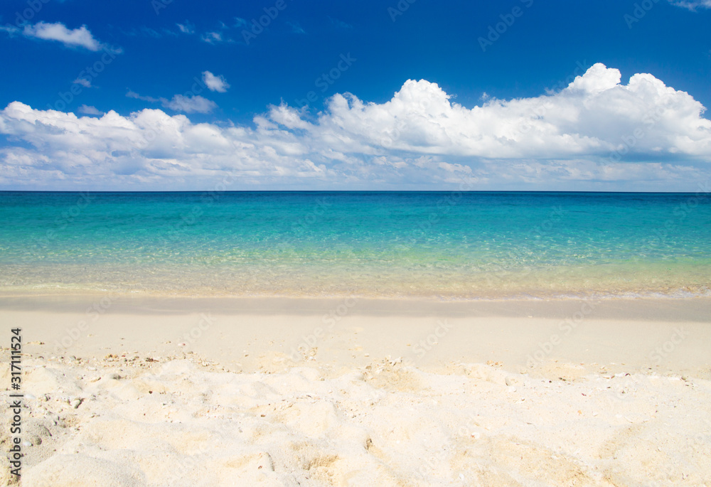 tropical Maldives island with white sandy beach and sea tropical Maldives island with white sandy beach and sea
