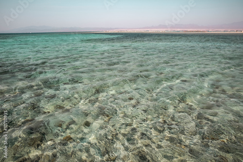 Background of beach with palms and summer time. 