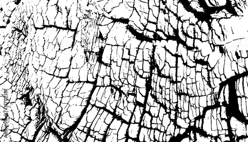 Distressed overlay texture of rough surface, old tree stump, rings on tree. Grunge background. One color graphic resource.